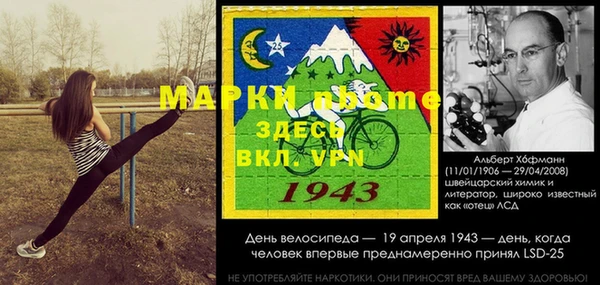 индика Дмитровск