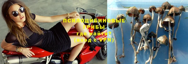 кокаин премиум Белокуриха