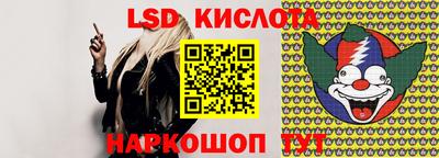 прущие грибы Усть-Джегута