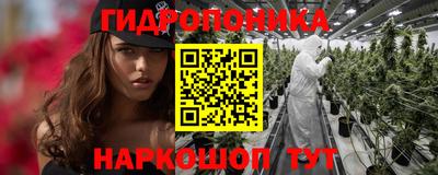 прущие грибы Усть-Джегута
