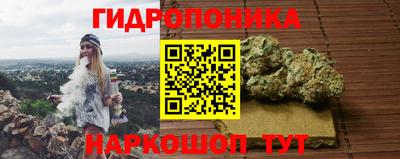 прущие грибы Усть-Джегута