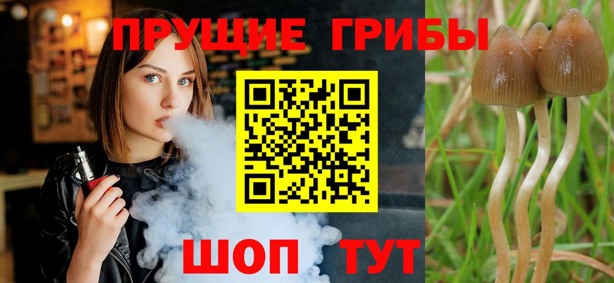 Галлюциногенные грибы Psilocybe  Вход с VPN  Маркс 